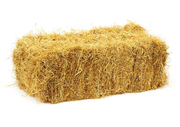 A Guide to Feeding Nigerian Dwarf Goats: Understanding Hay